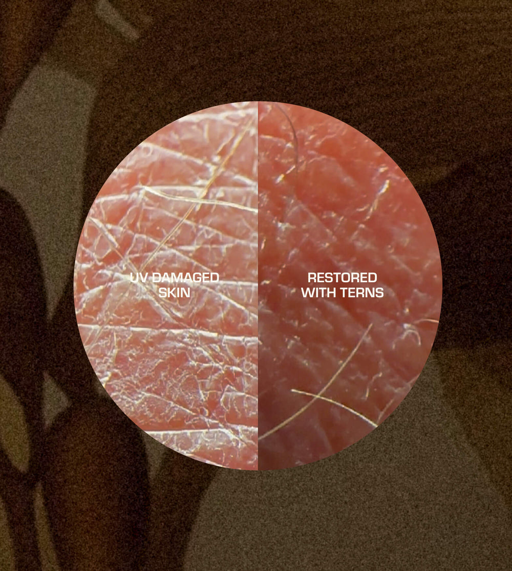 Our Breakthrough Solution:
The Sirenas Complex