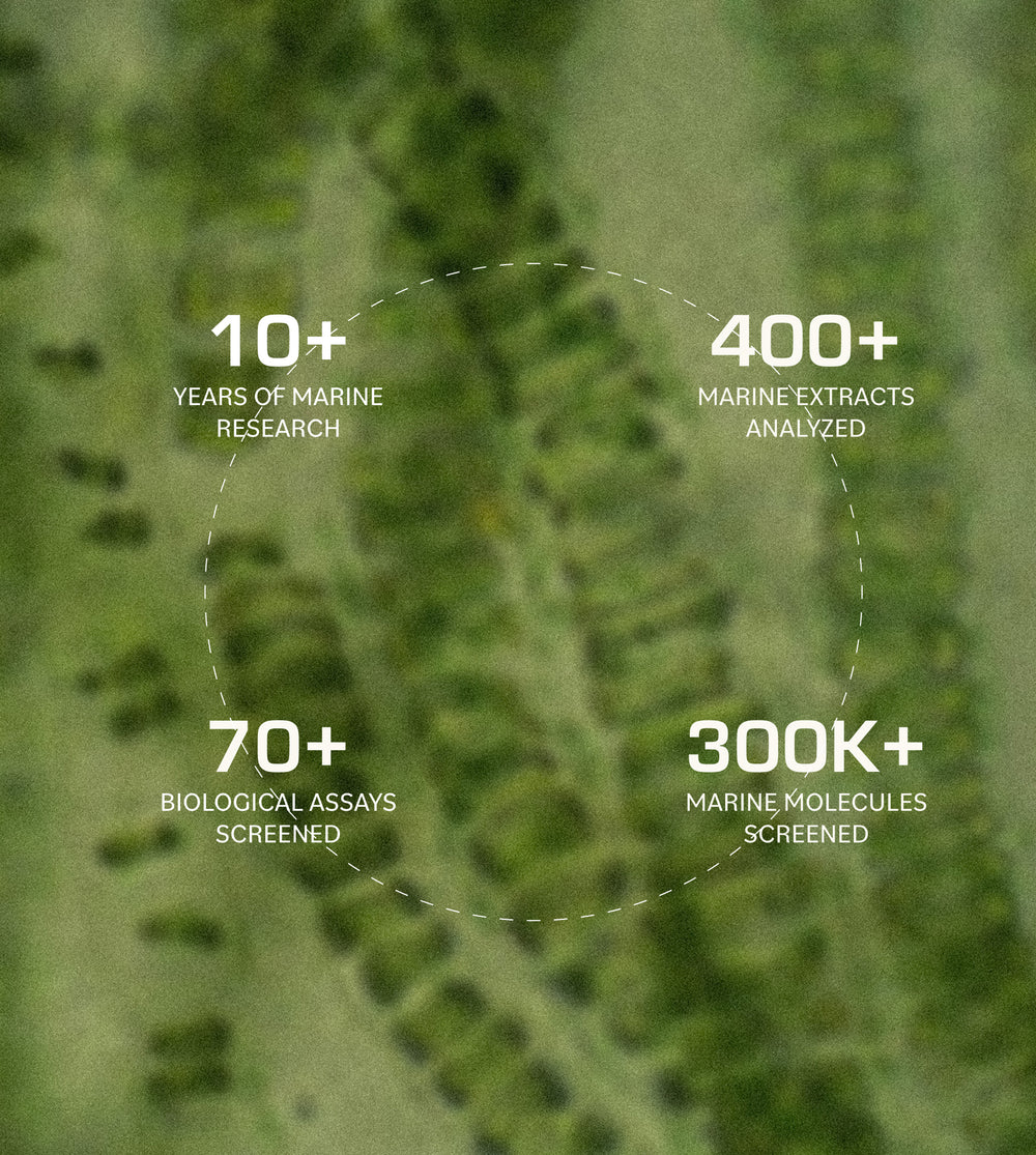 Discovery to Innovation