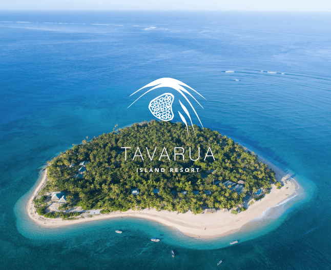 TERNS GIVEBACK GIVEAWAY